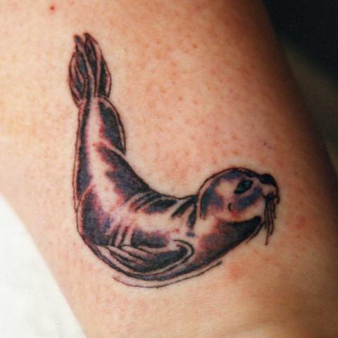 De Novo decorative tattoo of a seal